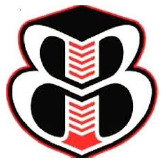 Bingham Logo